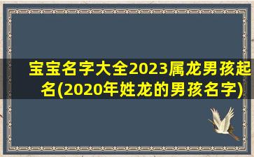 宝宝名字大全2023属龙男孩起名(2020年姓龙的男孩名字)