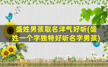 盛姓男孩取名洋气好听(盛姓一个字独特好听名字男孩)