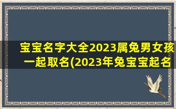 宝宝名字大全2023属兔男女孩一起取名(2023年兔宝宝起名字)