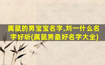 属鼠的男宝宝名字,刘一什么名字好听(属鼠男最好名字大全)