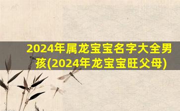 2024年属龙宝宝名字大全男孩(2024年龙宝宝旺父母)