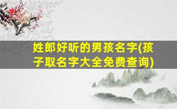 姓郎好听的男孩名字(孩子取名字大全免费查询)