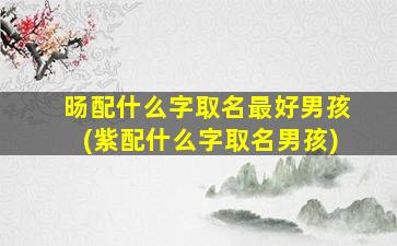 旸配什么字取名最好男孩(紫配什么字取名男孩)