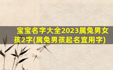 宝宝名字大全2023属兔男女孩2字(属兔男孩起名宜用字)