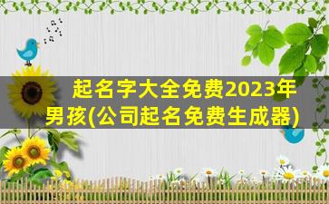 起名字大全免费2023年男孩(公司起名免费生成器)