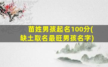 苗姓男孩起名100分(缺土取名最旺男孩名字)