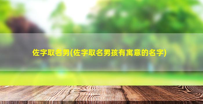 佐字取名男(佐字取名男孩有寓意的名字)