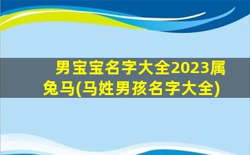 男宝宝名字大全2023属兔马(马姓男孩名字大全)
