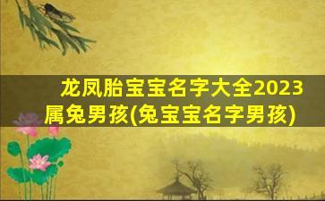 龙凤胎宝宝名字大全2023属兔男孩(兔宝宝名字男孩)