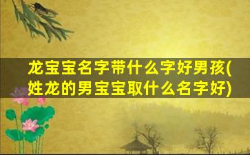 龙宝宝名字带什么字好男孩(姓龙的男宝宝取什么名字好)