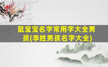 鼠宝宝名字常用字大全男孩(李姓男孩名字大全)