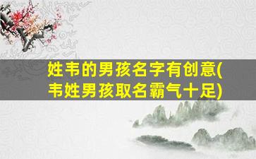 姓韦的男孩名字有创意(韦姓男孩取名霸气十足)