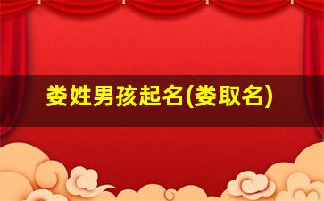娄姓男孩起名(娄取名)