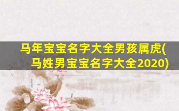 马年宝宝名字大全男孩属虎(马姓男宝宝名字大全2020)
