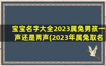 宝宝名字大全2023属兔男孩一声还是两声(2023年属兔取名宜用字)