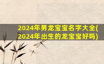 2024年男龙宝宝名字大全(2024年出生的龙宝宝好吗)