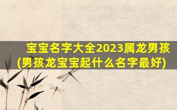 宝宝名字大全2023属龙男孩(男孩龙宝宝起什么名字最好)
