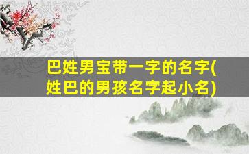 巴姓男宝带一字的名字(姓巴的男孩名字起小名)