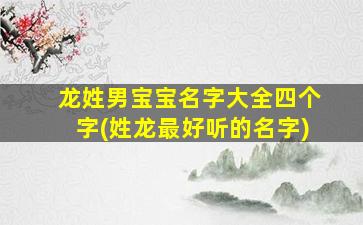 龙姓男宝宝名字大全四个字(姓龙最好听的名字)