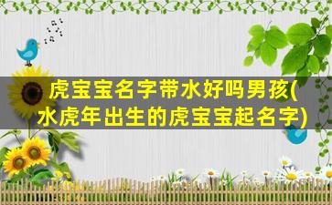 虎宝宝名字带水好吗男孩(水虎年出生的虎宝宝起名字)