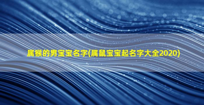 属猴的男宝宝名字(属鼠宝宝起名字大全2020)
