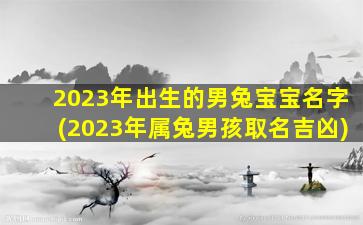 2023年出生的男兔宝宝名字(2023年属兔男孩取名吉凶)