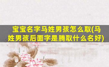 宝宝名字马姓男孩怎么取(马姓男孩后面字是腾取什么名好)