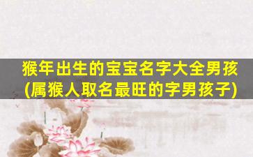 猴年出生的宝宝名字大全男孩(属猴人取名最旺的字男孩子)