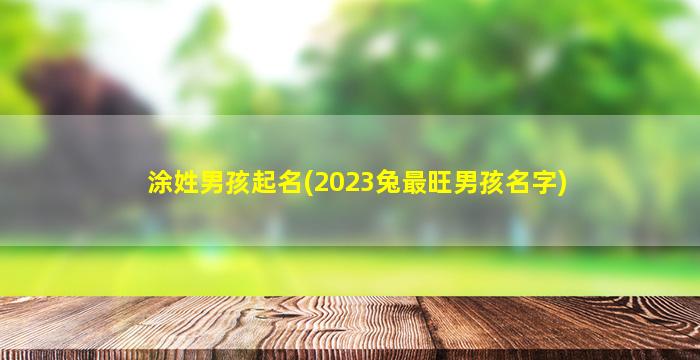 涂姓男孩起名(2023兔最旺男孩名字)