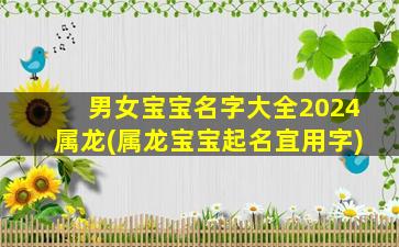 男女宝宝名字大全2024属龙(属龙宝宝起名宜用字)