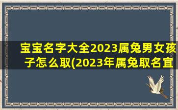 宝宝名字大全2023属兔男女孩子怎么取(2023年属兔取名宜用字)
