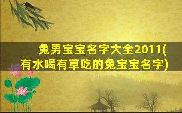 兔男宝宝名字大全2011(有水喝有草吃的兔宝宝名字)