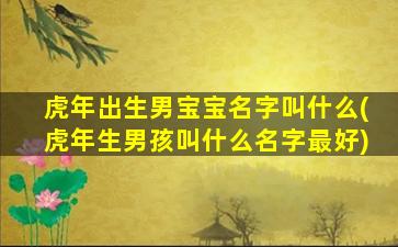 虎年出生男宝宝名字叫什么(虎年生男孩叫什么名字最好)