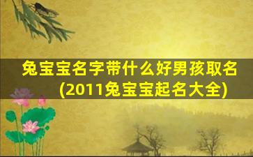 兔宝宝名字带什么好男孩取名(2011兔宝宝起名大全)