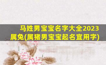 马姓男宝宝名字大全2023属兔(属猪男宝宝起名宜用字)