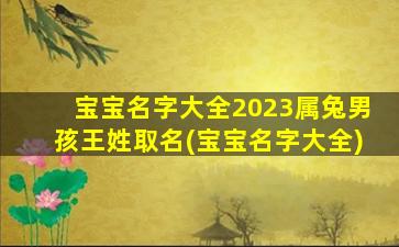 宝宝名字大全2023属兔男孩王姓取名(宝宝名字大全)
