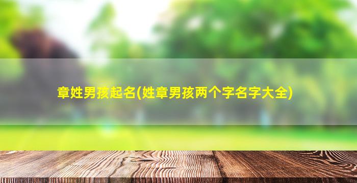 章姓男孩起名(姓章男孩两个字名字大全)