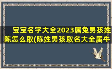 宝宝名字大全2023属兔男孩姓陈怎么取(陈姓男孩取名大全属牛2021免费)