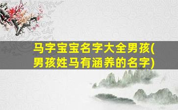马字宝宝名字大全男孩(男孩姓马有涵养的名字)