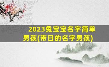 2023兔宝宝名字简单男孩(带日的名字男孩)