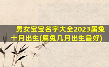 男女宝宝名字大全2023属兔十月出生(属兔几月出生最好)