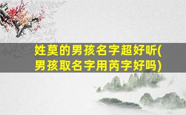 姓莫的男孩名字超好听(男孩取名字用芮字好吗)