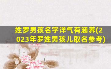 姓罗男孩名字洋气有涵养(2023年罗姓男孩儿取名参考)