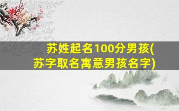 苏姓起名100分男孩(苏字取名寓意男孩名字)