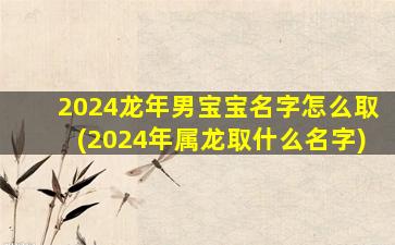 2024龙年男宝宝名字怎么取(2024年属龙取什么名字)