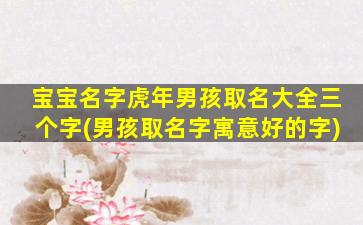 宝宝名字虎年男孩取名大全三个字(男孩取名字寓意好的字)