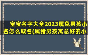 宝宝名字大全2023属兔男孩小名怎么取名(属猪男孩寓意好的小名)