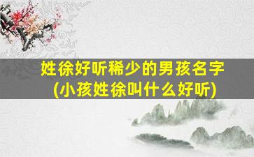 姓徐好听稀少的男孩名字(小孩姓徐叫什么好听)