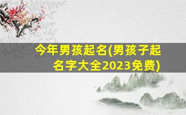 今年男孩起名(男孩子起名字大全2023免费)