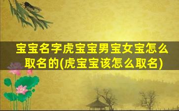 宝宝名字虎宝宝男宝女宝怎么取名的(虎宝宝该怎么取名)